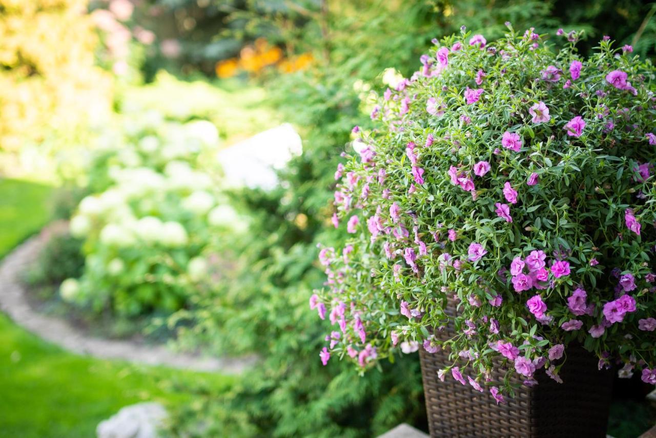 City Center Garden Camping Tallinn Extérieur photo